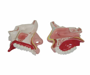 BioLab Products